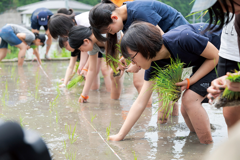 田植え